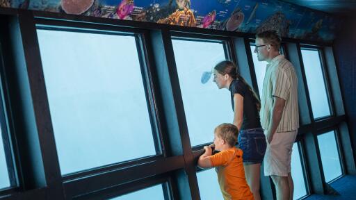 Cruise Whitsundays Great Barrier Reef Adventure