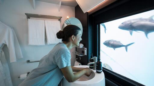 Reefsuite