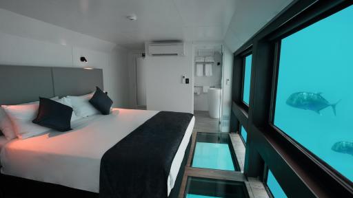 Reefsuite Premium