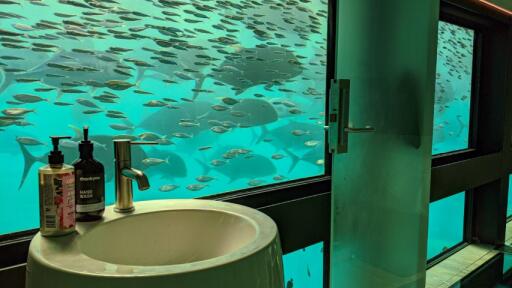 Reefsuite Premium