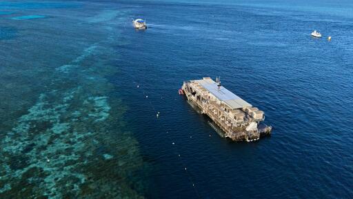 Reefworld Pontoon